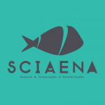 Sciaena的照片